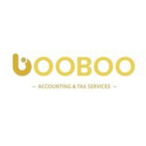 Booboo Accounting